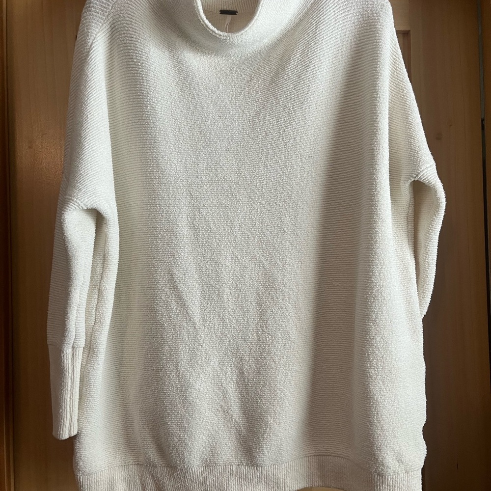 Cozy Free People Turtleneck Sweater
